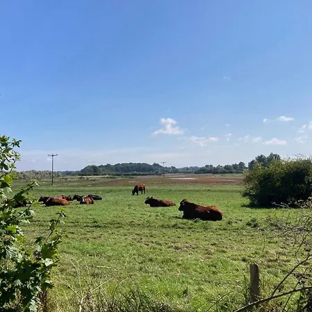 Bades Huk Haus 9 34 - Eg Lejlighed Hohen Wieschendorf
